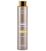 Hair Company Inimitable Style Illuminating Shampoo  - Шампунь, придающий блеск, 250 мл