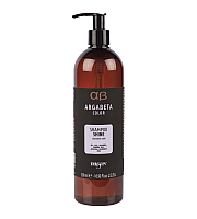 Dikson ArgaBeta Shampoo Shine - Шампунь для окрашенных волос с маслами черной смородины, виноградных косточек и сладкого миндаля 500 мл