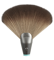 EcoTools Interchangeables Fan Brush Head - Сменная насадка кисти для хайлайтера