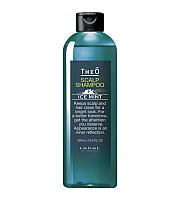 Lebel Theo Scalp Shampoo Ice Mint - Шампунь для мужчин с водой альпийских ледников 320 мл
