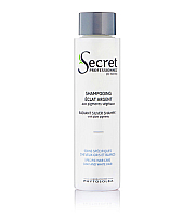 Kydra Secret Professionnel Radiant Silver Shampoo - Шампунь для блондинок с растительными оттеночными пигментами 200 мл