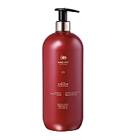 Greymy Zoom Color Conditioner - Кондиционер для окрашенных волос 1000 мл