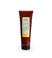 Insight Anti-Oxidant Rejuvenating Mask - Маска антиоксидант для перегруженных волос 250 мл