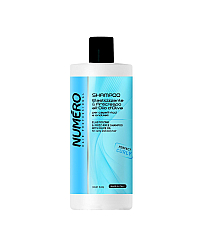 Brelil Numero Curly Elasticizing And Frizz-Free Shampoo - Шампунь для вьющихся и волнистых волос 1000 мл