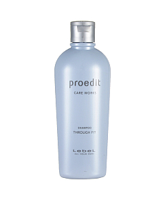 Lebel Proedit Care Works Through Fit Shampoo - Шампунь для прямых волос 300 мл