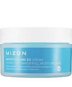 Mizon Water Volume Ex Cream - Крем увлажняющий со снежными водорослями 100 мл