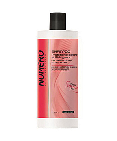 Brelil Numero Color Protection Shampoo - Шампунь для защиты цвета для окрашенных и мелированных волос 1000 мл