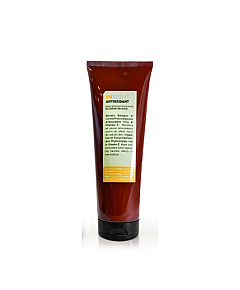 Insight Anti-Oxidant Rejuvenating Mask - Маска антиоксидант для перегруженных волос 250 мл