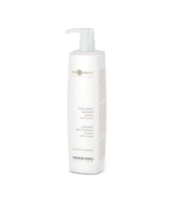 Hair Company Double Action Cleansing Base Treatment Моющая основа 1000 мл