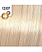 Wella Koleston Perfect ME+ Special Blond - Краска для волос (оттенок 12/07 Крем-брюле) 60 мл, Фото № 1 - hairs-russia.ru