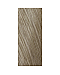 Goldwell Topchic - Краска для волос 9NN очень светло-русый экстра 250 мл, Фото № 1 - hairs-russia.ru