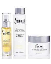 Secret Professionnel