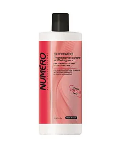 Brelil Numero Color Protection Shampoo - Шампунь для защиты цвета для окрашенных и мелированных волос 1000 мл